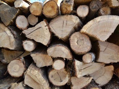 Le chauffage au bois est-il écologique?