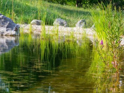 Comment installer une piscine écologique, naturelle?